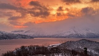 Lyngen